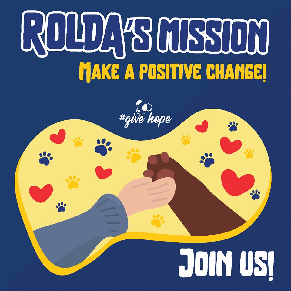 ROLDAOrg's tweet photo. ROLDA is on a mission to make positive change!
So, what are our goals?
·       Reduce homeless animals population
·       Educate the community on animal welfare and care
·       Provide advice for pet owners
·       Animal welfare in Romania
·       Animal rescue in Ukraine
·       Responsible rehoming  
Will you join us in our mission to protect animals?