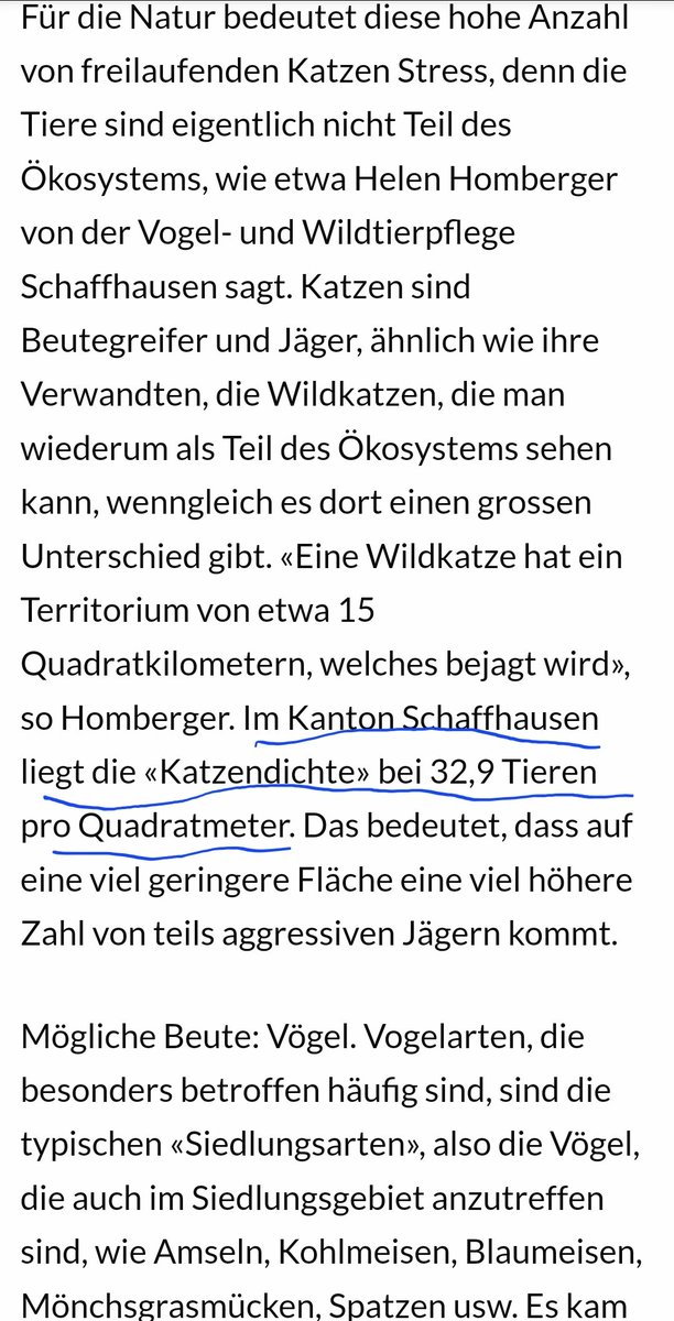 Heute zu spät zur Arbeit gekommen weil ich durch all die Katzen waten musste. <a href="/SHN_News/">Schaffhauser Nachrichten</a>