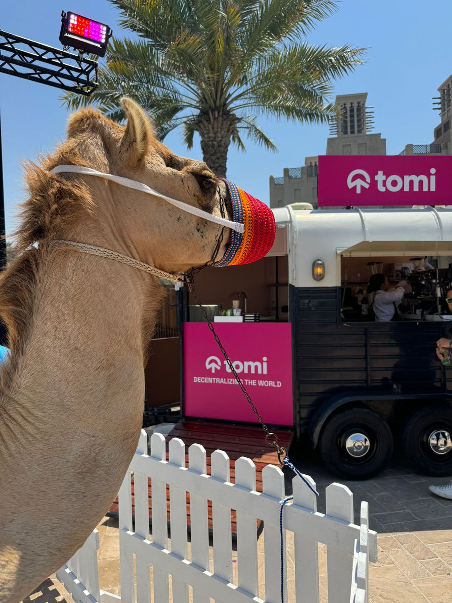 tomipioneers's tweet photo. Remember Dubai's rain?? 🌧️ 

The sun's back🌞, socks are dry🧦, and our coffee's ready!

Join us at @token2049 for refreshments &amp; blockchain chats.⛓️🧱

Password for free coffee: #Freespeech🤫

We even have a camel🐪waiting to greet you (we named him tomi😁)

See you there!☀️☕️ https://t.co/hqkVaE0qKG