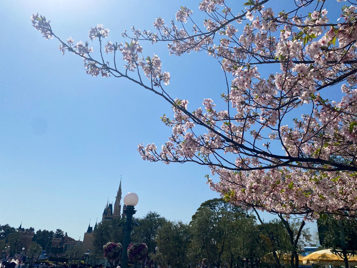 ジャンクション tweet media