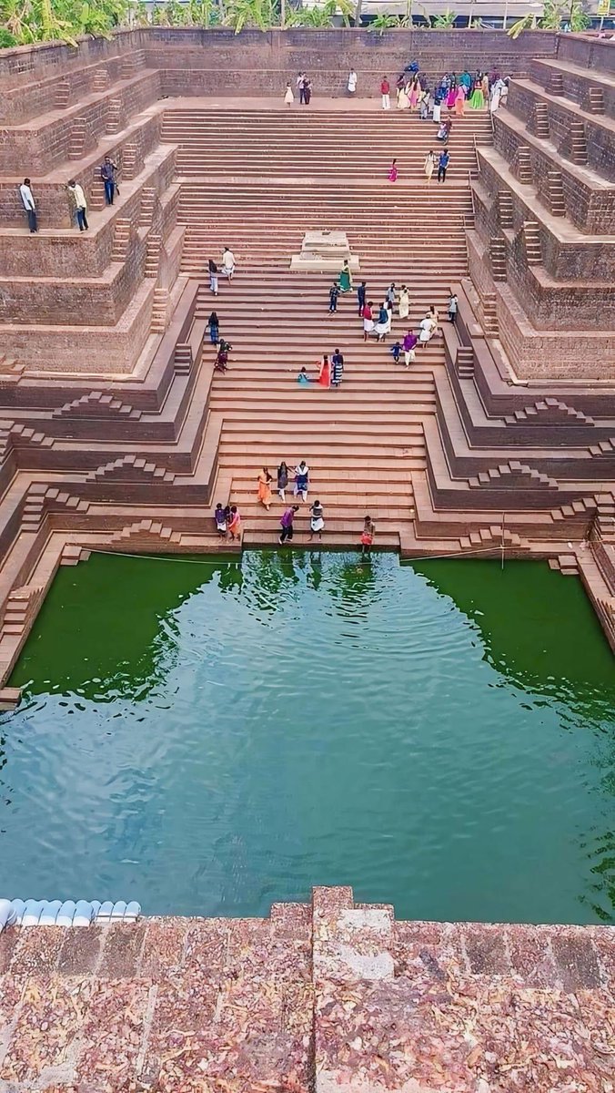 hjsdrpingale's tweet photo. Peralassery Temple Pond in Kerala India https://t.co/XFqrndRr9S