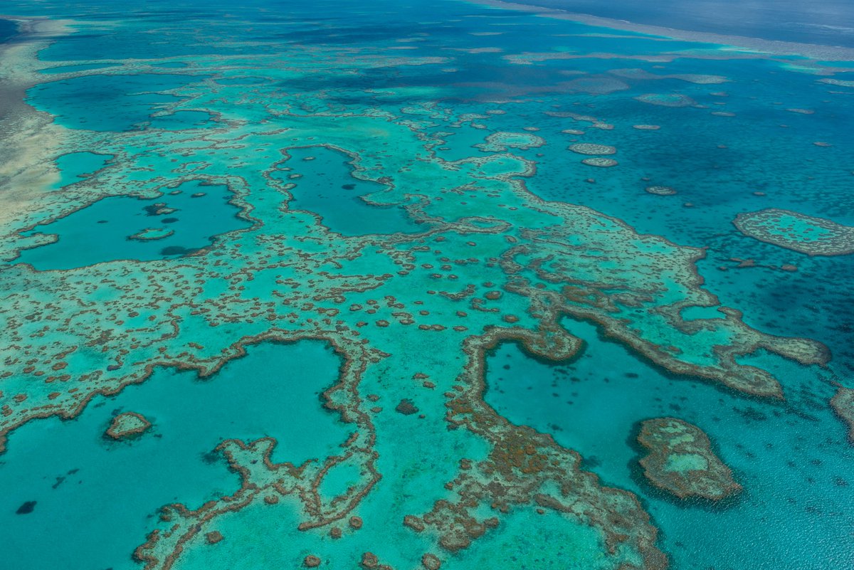 В День всемирного наследия мы хотим отметить коллективные усилия всех организаций и партнеров в 🇦🇺, кто работает над сохранением Большого Барьерного рифа и его защитой от последствий изменения климата и воздействия других негативных факторов.