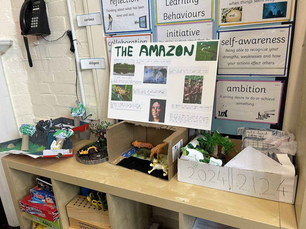 latimerprimary's tweet image. #ClassSM have once again completed some beautiful project homework. This time it was based on the Amazon Rainforest! #LatimerGeography