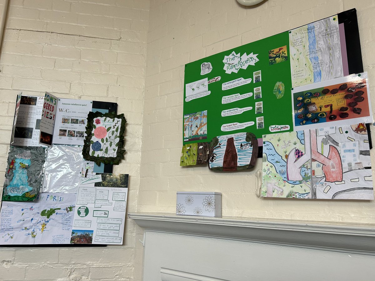latimerprimary's tweet image. #ClassSM have once again completed some beautiful project homework. This time it was based on the Amazon Rainforest! #LatimerGeography