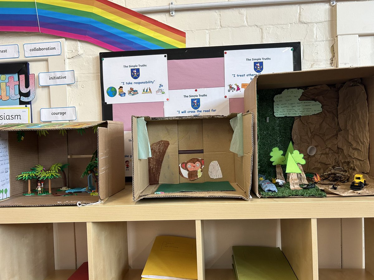 latimerprimary's tweet image. #ClassSM have once again completed some beautiful project homework. This time it was based on the Amazon Rainforest! #LatimerGeography