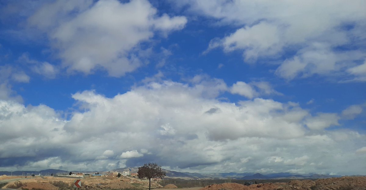 rahashytoon's tweet photo. Mobile photography
#Art #Tree #Alonelytree #Mountain #Whitecloud #BlueSky #CleanAir #Mobile #Photography #Picture #Road https://t.co/7Swa8yCU52