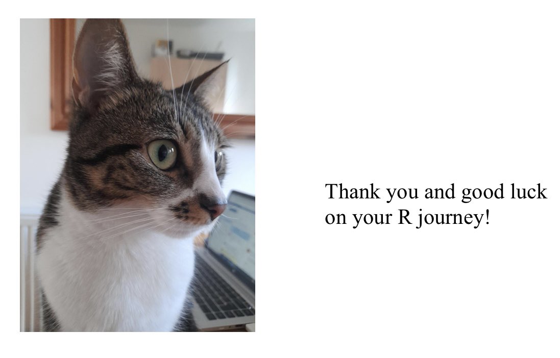 TWright_GenomeX's tweet image. Thank you @BojanicLana @FBMH_UoM for running a fun and accessible R Workshop yesterday #Data #RStats #DataVisualisation