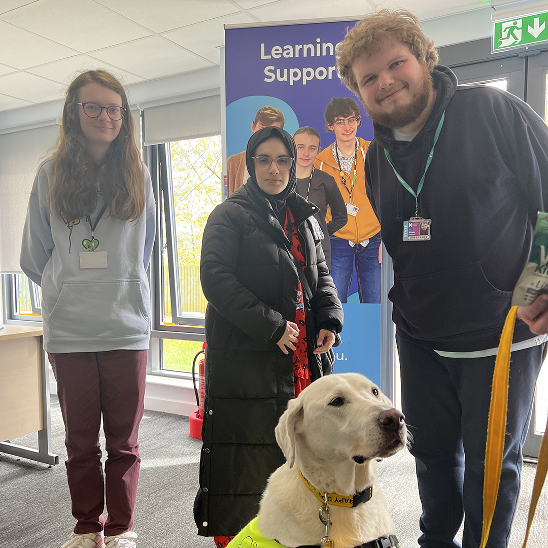 halesowencoll's tweet image. Earlier this week we welcomed Tana the Therapy Dog and her handler Jane from Therapy Dogs Worldwide to our Hive in Five learning support facility.

#TherapyDog #LearningSupport #Halesowen #HalesowenCollege