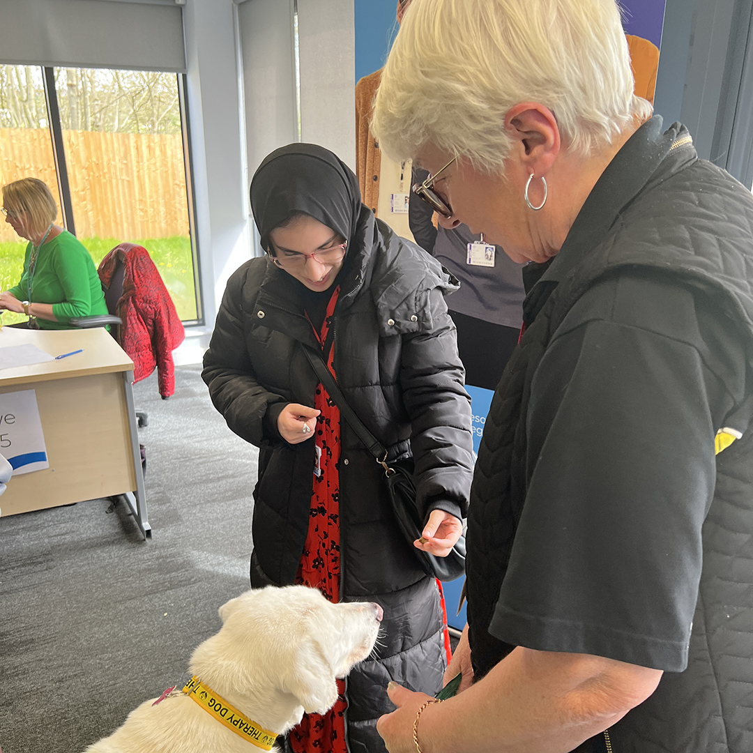 halesowencoll's tweet image. Earlier this week we welcomed Tana the Therapy Dog and her handler Jane from Therapy Dogs Worldwide to our Hive in Five learning support facility.

#TherapyDog #LearningSupport #Halesowen #HalesowenCollege