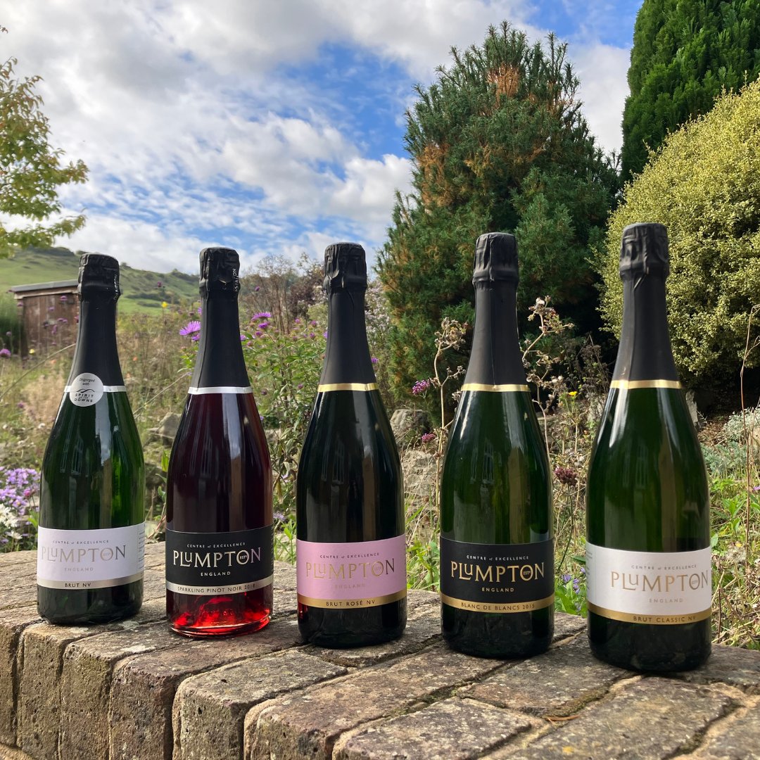 Our Brut NV wine has been voted as one of the best English sparkling’s in Tom Stevenson’s ‘World of Fine Wine’ column out this month with 96 points! Want to study somewhere which produces award winning wine? Then check out our wine courses here: eu1.hubs.ly/H08zYHT0 #Wine