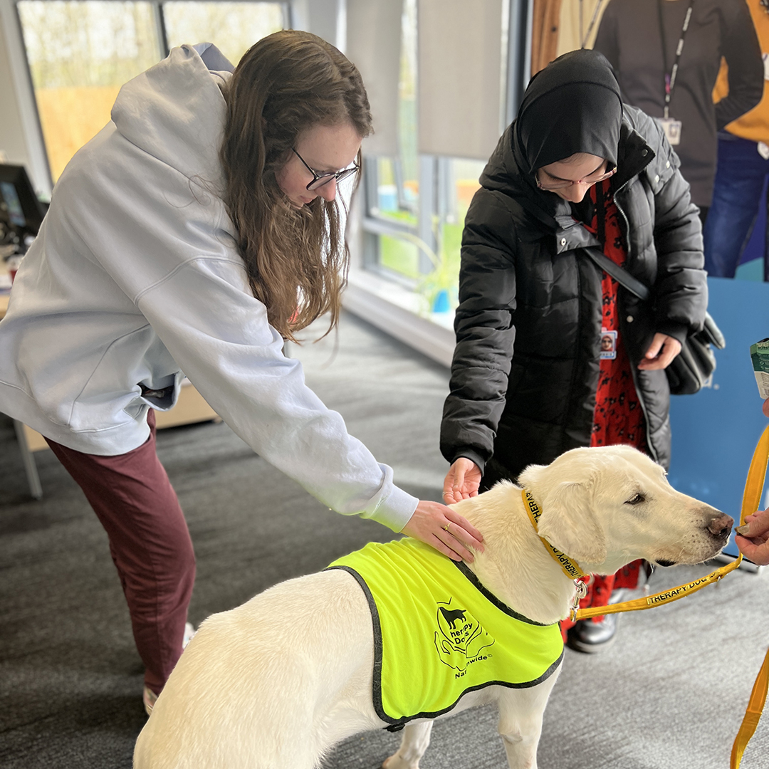 halesowencoll's tweet image. Earlier this week we welcomed Tana the Therapy Dog and her handler Jane from Therapy Dogs Worldwide to our Hive in Five learning support facility.

#TherapyDog #LearningSupport #Halesowen #HalesowenCollege