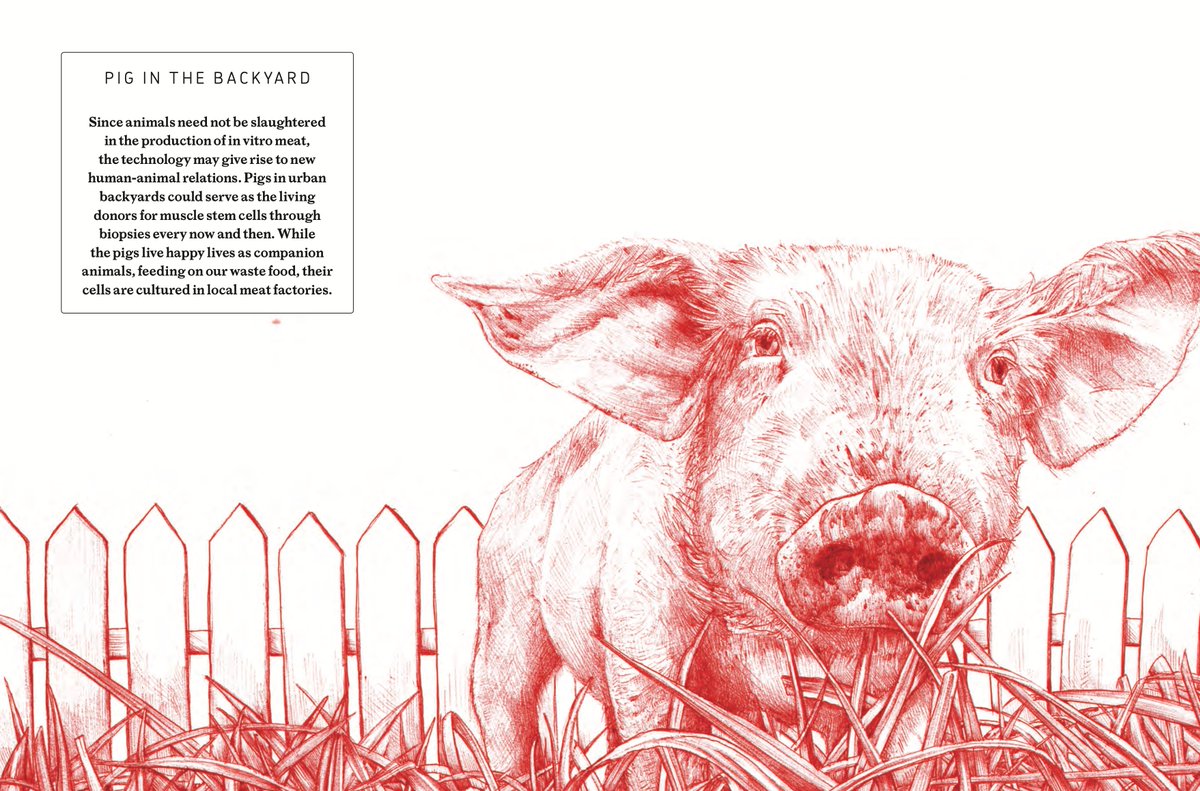 Big win for foodies and animals! 🐷🎉 We just  had our first tasting of a real meat sausage without having to slaughter  a pig. Dreamt up 10 years ago in our In Vitro Cookbook, now a reality.  🌱🍽🐖 hashtag#MeatTheFuture