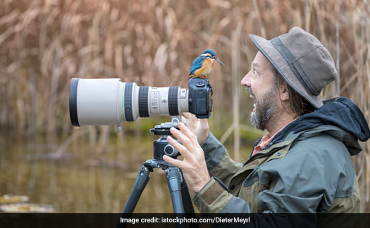 📰 Today's top stories, curated for you by Zorz Studios: zorz.it/newspaper

- Best #cameras and #lenses for #WildlifePhotography; 
- 30 unique #BusinessIdeas for women;
- 25 of the most #IconicWeddingDresses of all time, and more

 #ZoracleDaily #newspaper