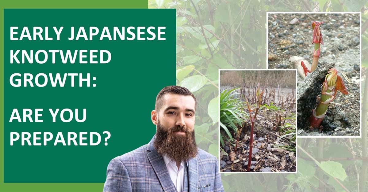 With signs of #JapaneseKnotweed growth spotted as early as February, Technical Manager Daniel Docking discusses what proactive measures there are to consider for the upcoming busy season.  Read more here 👉🌿property-care.org/News/early-jap…

#knotweedmanagement #invasiveplants