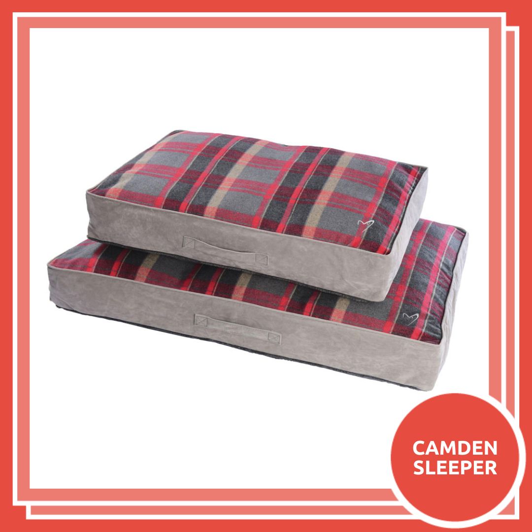 RookesPetProducts tweet media