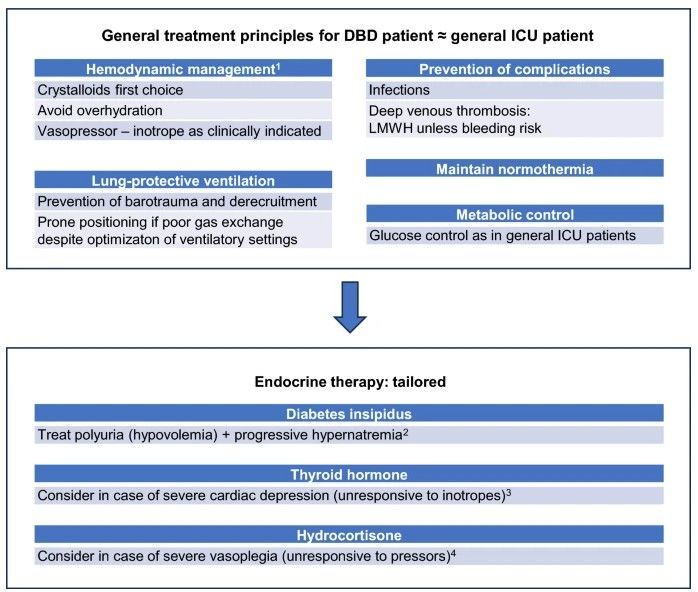 This @yourICM review summarizes the care of patients who are brain-dead organ donors. Do you frequently care for these patients? What challenges have you encountered? buff.ly/3UrnkJH