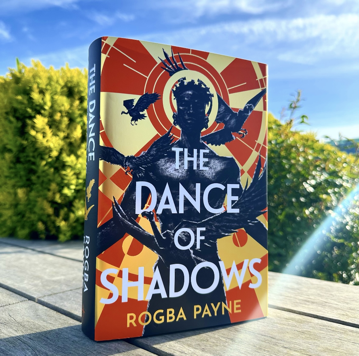 A young musician fighting for liberation is drawn into a battle between the gods. Will his thirst for vengeance jeopardise the future of his people? Enter a richly devised world of mythology, magic & music ✨ #TheDanceOfShadows by @RogbaPayne is out now: geni.us/ZWovwu