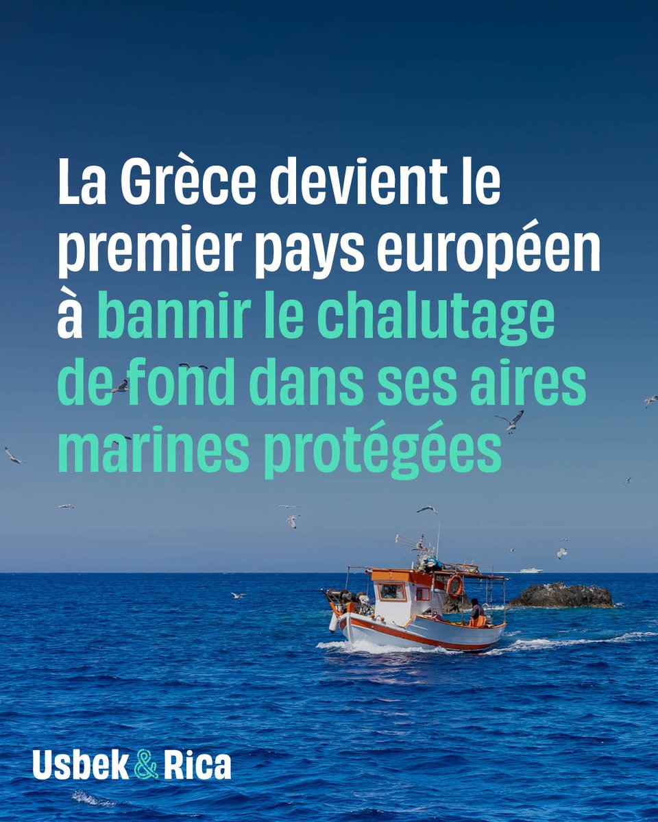 Au total, 30% des eaux grecques seront ainsi protégées. Un « moment historique », s’est réjoui le Premier ministre Kyriakos Mitsotakis 👉 usbeketrica.com/fr/observation…