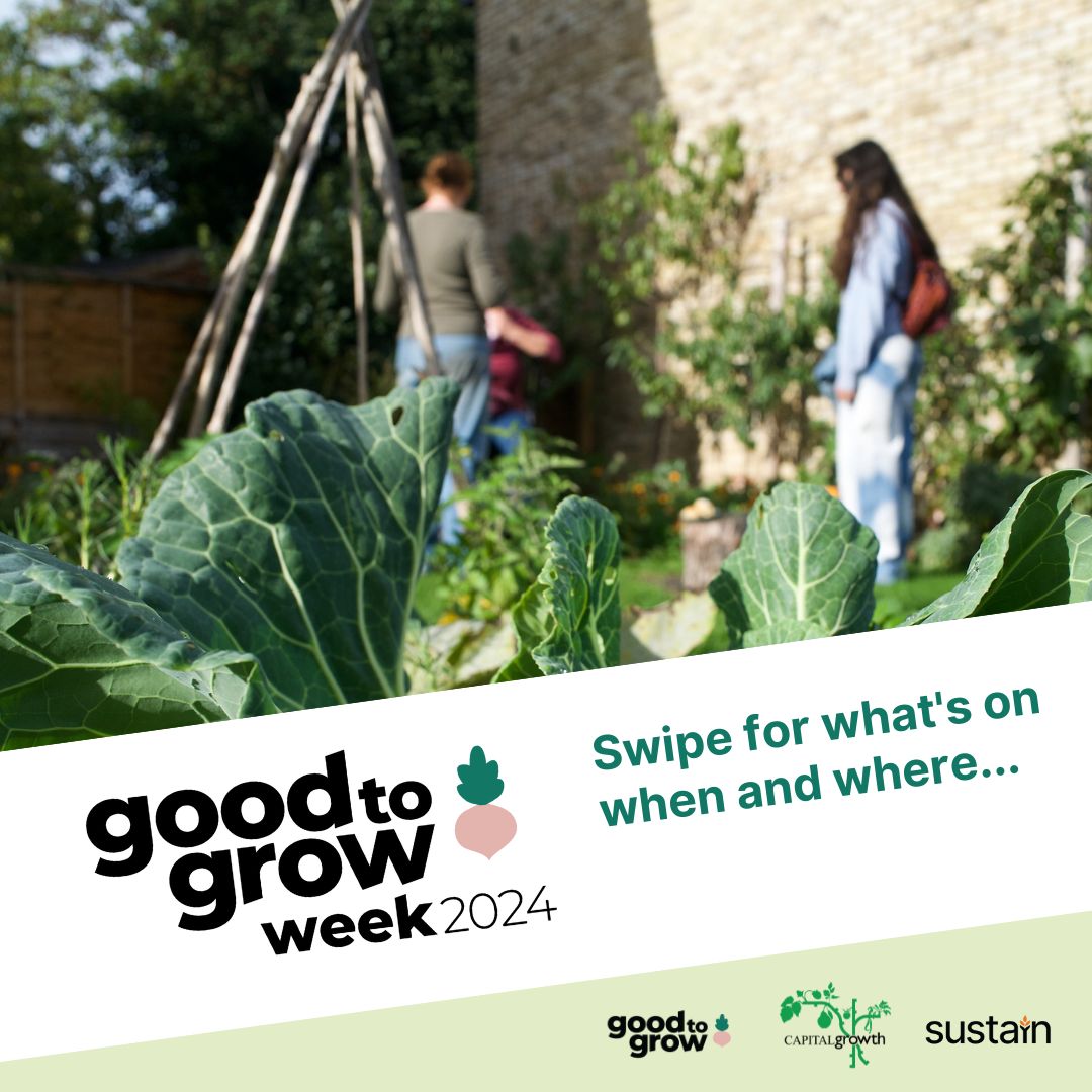 Good to Growers! Today is your last chance to get your garden on our official calendar of events for #GoodtoGrow2024 😲 Don't miss out - register your space by midnight tonight 👇 goodtogrowuk.org/login/