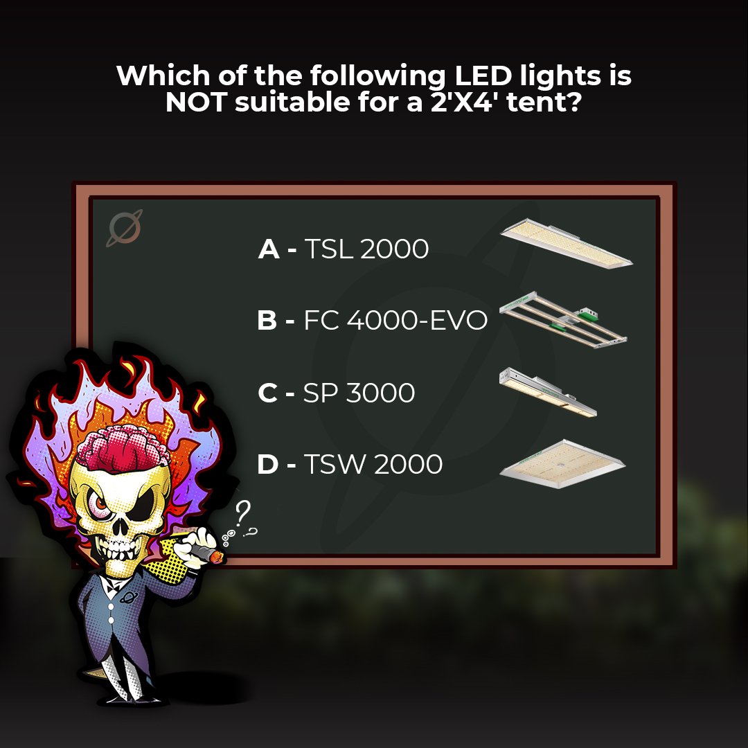 It's quiz time with #MarsHydro! 🤔 Let's take some challenges - you might learn something new. 💪 Which of the following LED lights is NOT suitable for a 2'X4' tent? Leave your answer and we may surprise a winner with a 420 mystery gift. 🎁 Hint ➡️ mars-hydro.com/mars-hydro-420…