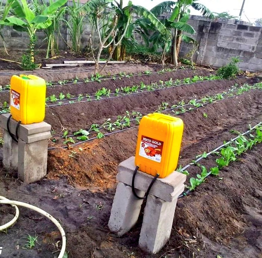 Wow!!!  This is one of the brilliant innovations I have ever seen! 
A simple drip irrigation system that can save crops from drought effects.
*If you love innovative Agriculture, show some love by Liking and Reposting this post.

Like and Repost.
#LetsFarmTogether