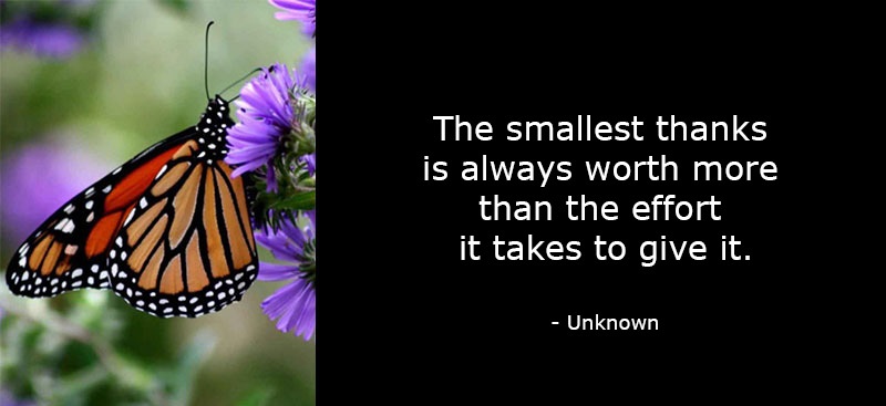 The smallest thanks is always worth more than the effort it takes to give it. #ThursdayMotivation #ThursdayThoughts #Thanks #Effort #GoalAchieversCommunity