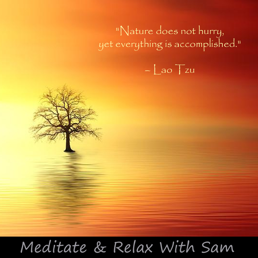 'Nature does not hurry, yet everything is accomplished' - Lao Tzu

#meditate #meditation #guidedmeditation #quote #quotes #meditationquotes #dailyquote