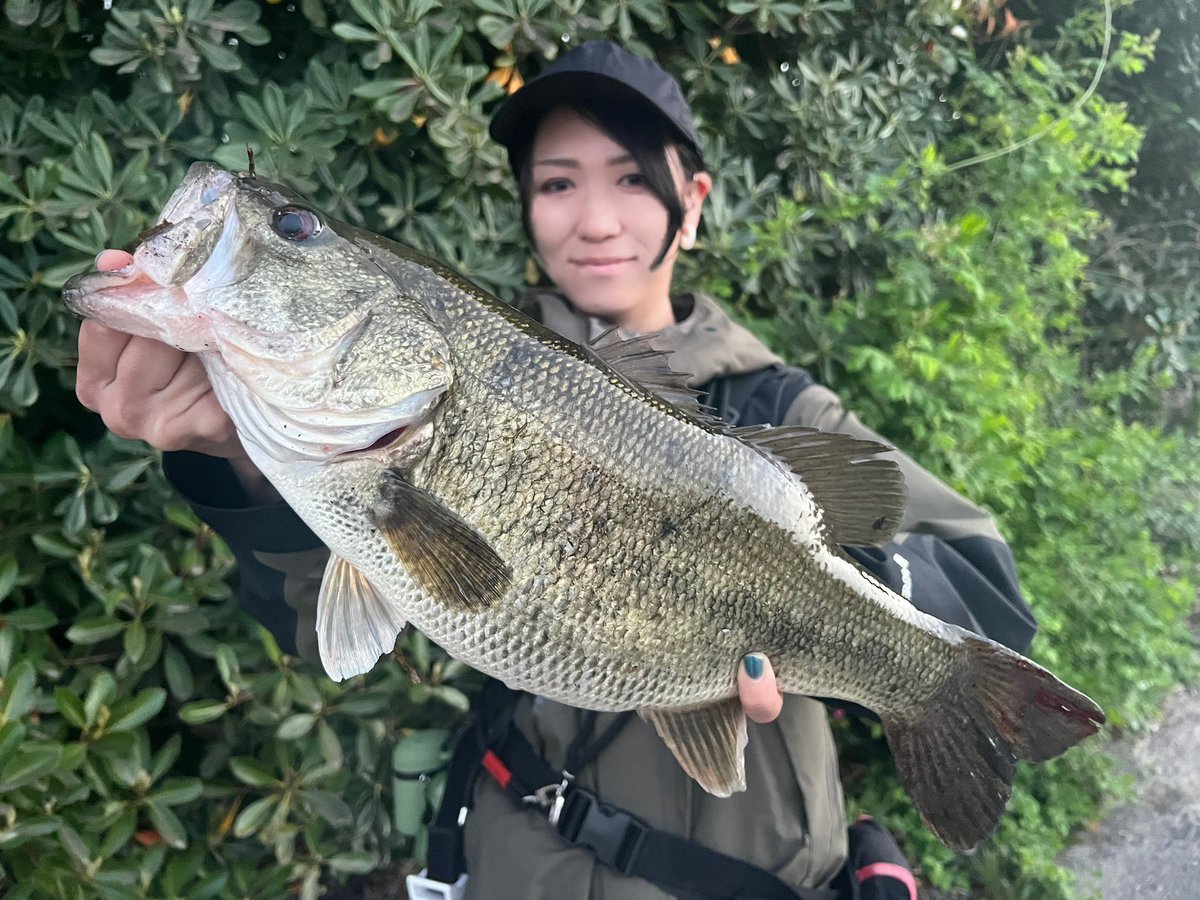 ami_hoihoi's tweet photo. 琵琶湖バス釣れたよ！！🥺✨(そしてだいぶお久しぶりです！笑) https://t.co/dB86AetkHx