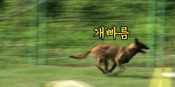 허위사실에 대응하는 새미래 법률지원단