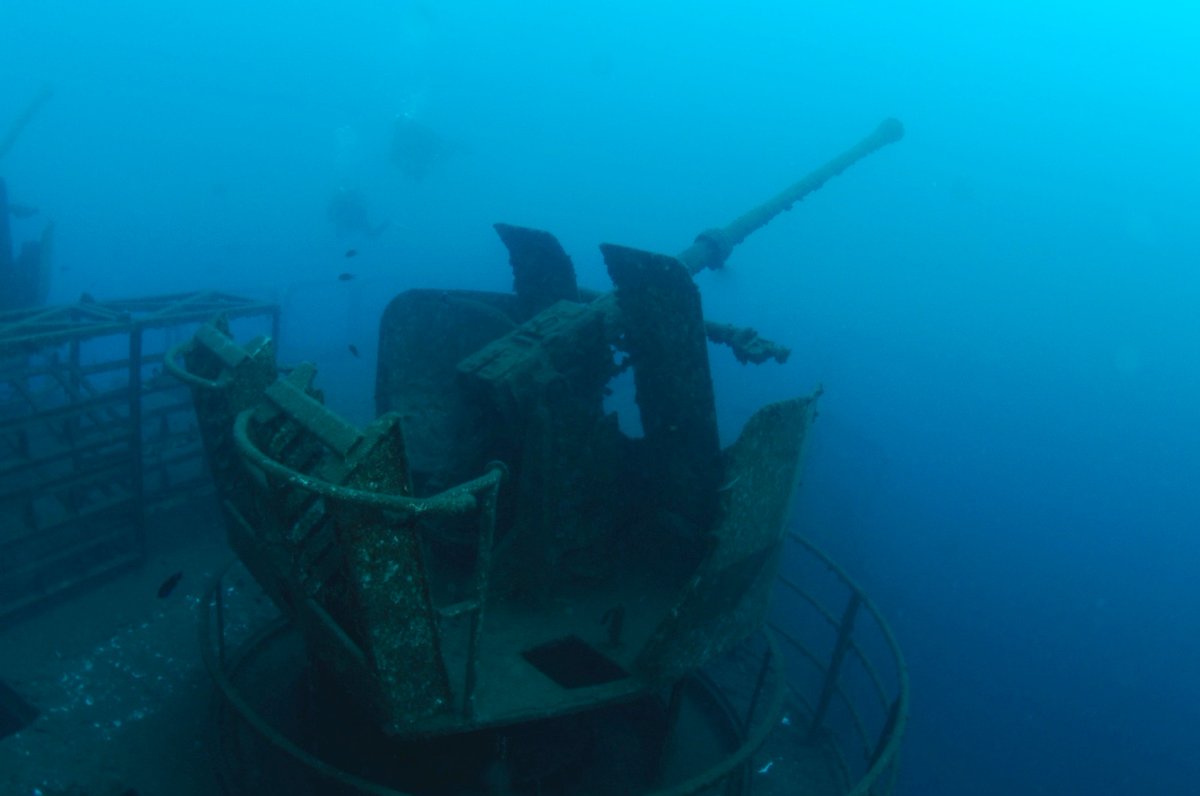 PortugalDive's tweet photo. 🌊Are you enjoying our recent content about our trip to #Madeira island? Check out some of the recent diving pics! Dive into an underwater adventure like never before with our exclusive holiday package in the stunning Madeira Island! 🏝️

Pics by: Wojciech Zgola

@visitmadeira https://t.co/fGV2p4EXyE
