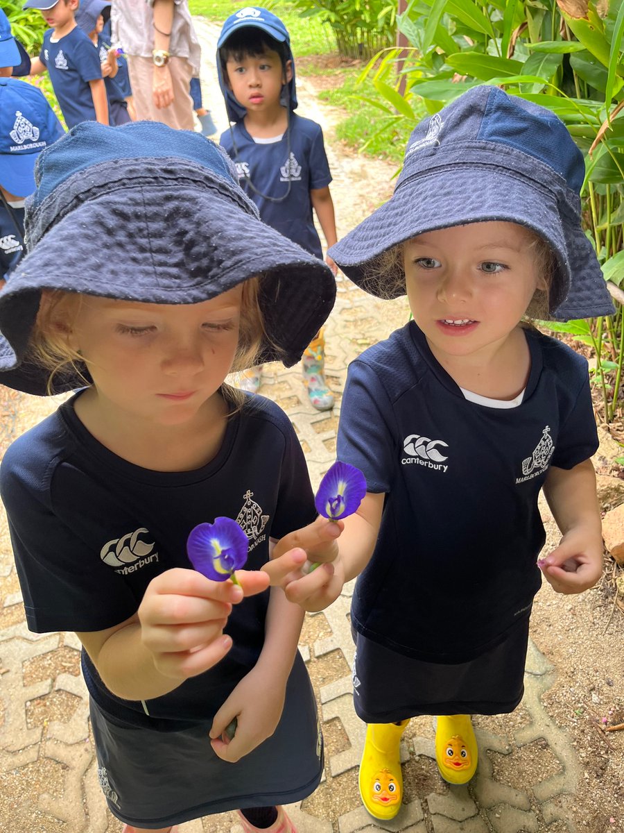 MCMPrePrep's tweet photo. This week in Nursery, pupils read 'Smeds and the Smoos'. Afterwards, they hunted for butterfly pea flowers for a science experiment which involved turning their blue water purple. Then, potion making which explored capacity and encouraged fine motor skills. https://t.co/3s7KRNm4fc