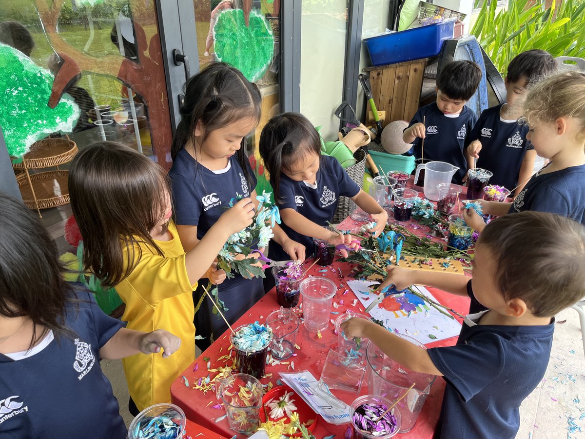 MCMPrePrep's tweet photo. This week in Nursery, pupils read 'Smeds and the Smoos'. Afterwards, they hunted for butterfly pea flowers for a science experiment which involved turning their blue water purple. Then, potion making which explored capacity and encouraged fine motor skills. https://t.co/3s7KRNm4fc