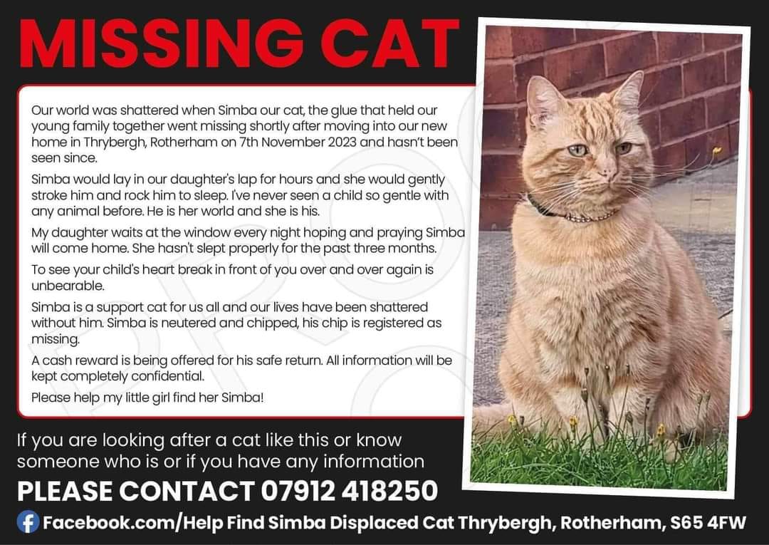 ‼️#SIMBA Still MISSING‼️ #HelpfindSimba Displaced cat #Thrybergh #Rotherham #S65_4FW since 07/11/2023  contact :
#MuddyPawsCrime
MUDDYPAWSCRIME page facebook.com/muddypawscrime
Call 07989658268 or 07407723121
facebook.com/groups/8804879…
Email muddypawscrime@gmail.com