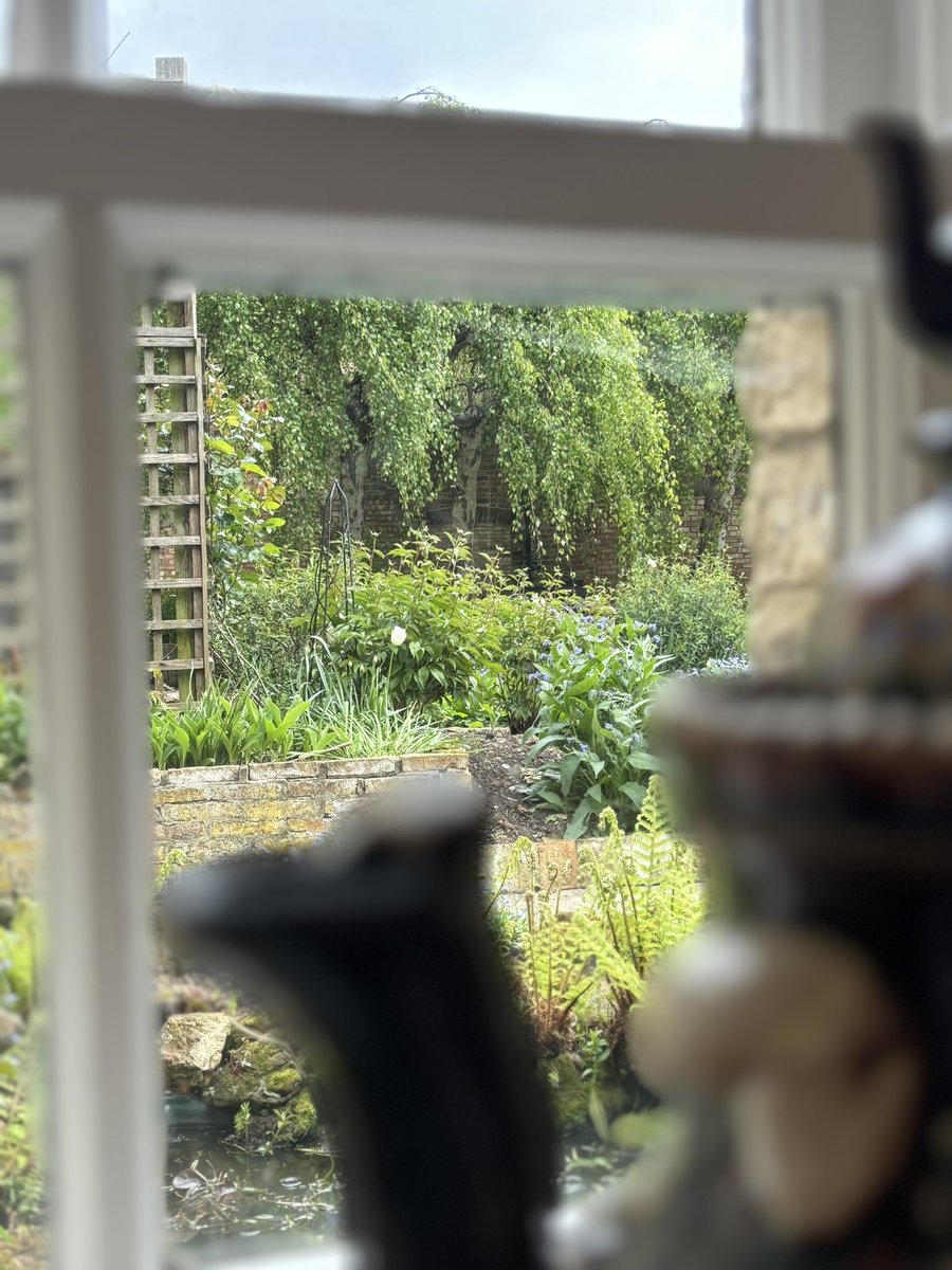 TerryBamberger's tweet image. The good stuff: We got a car 🚗! Called Lady Bug 🐞. Had tea 🫖 w this lovely lady. A grand day out (beyond walking distance, that is! 😹🚗) #gratefulactor #actorslife