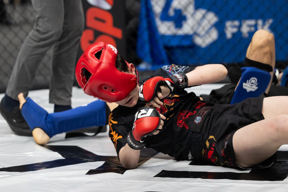 FFKaraté tweet media