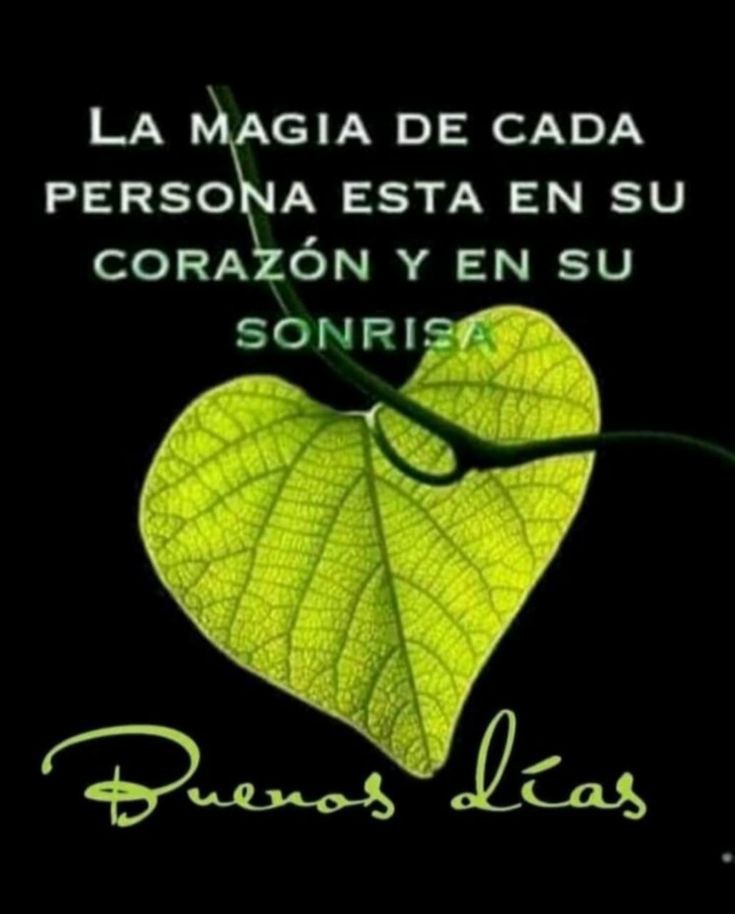 No sé qué tienen ciertas personas, pero, nos salvan de la tristeza con un abrazo, nos acomodan la vida con su sonrisa, y les basta nada más que su existencia para hacernos sentir de otro planeta. parecen que están hechas de atardeceres, poesía y estrellas, Buenos días♥️