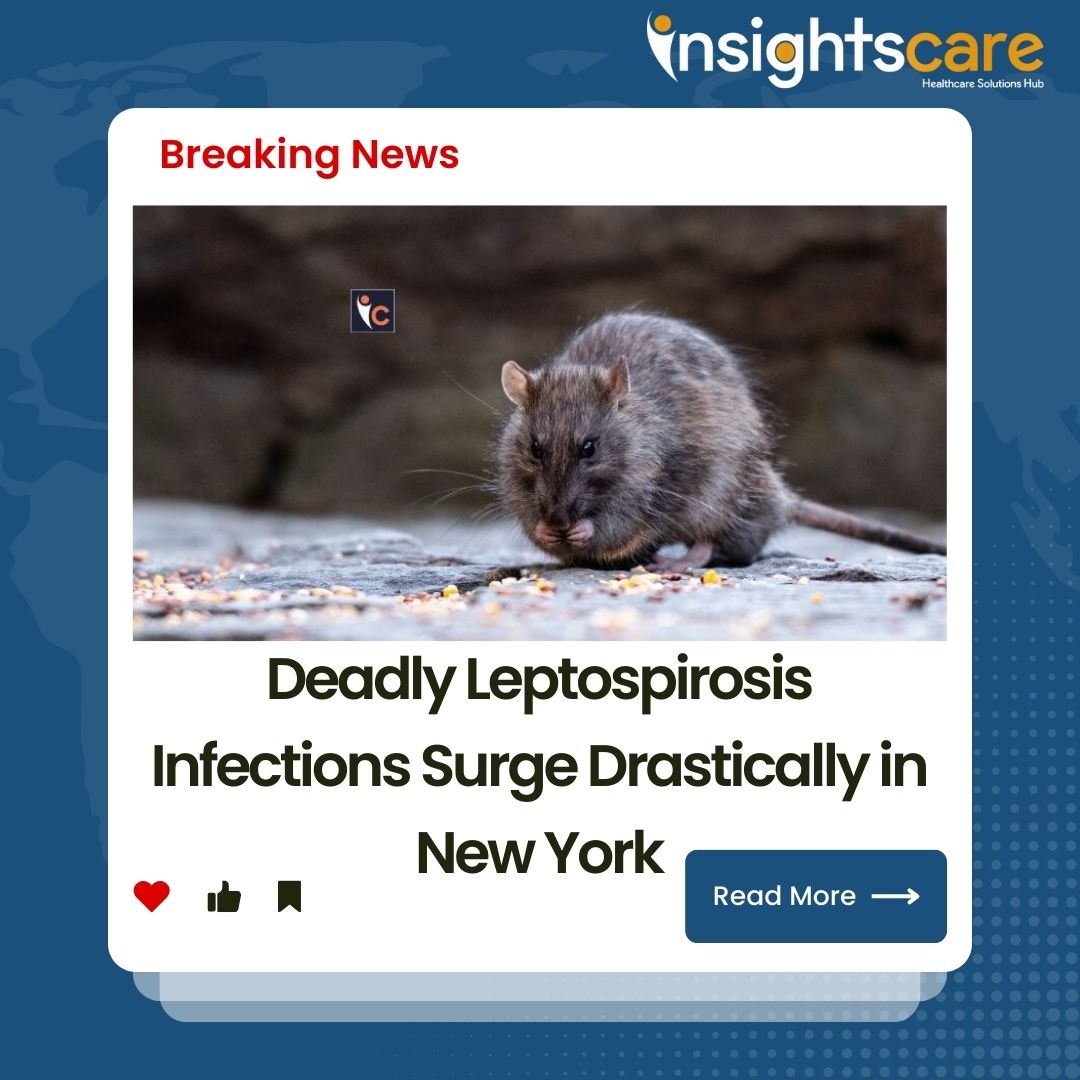 Deadly Leptospirosis Infections Surge Drastically in New York
Read More: cutt.ly/cw5dqXnO
#LeptospirosisAwareness #NewYorkHealth #InfectiousDisease #PublicHealthAlert #LeptoOutbreak #PreventLeptospirosis #StayInformed #HealthEmergency #InsightsCare #healthcarenewsmagazines