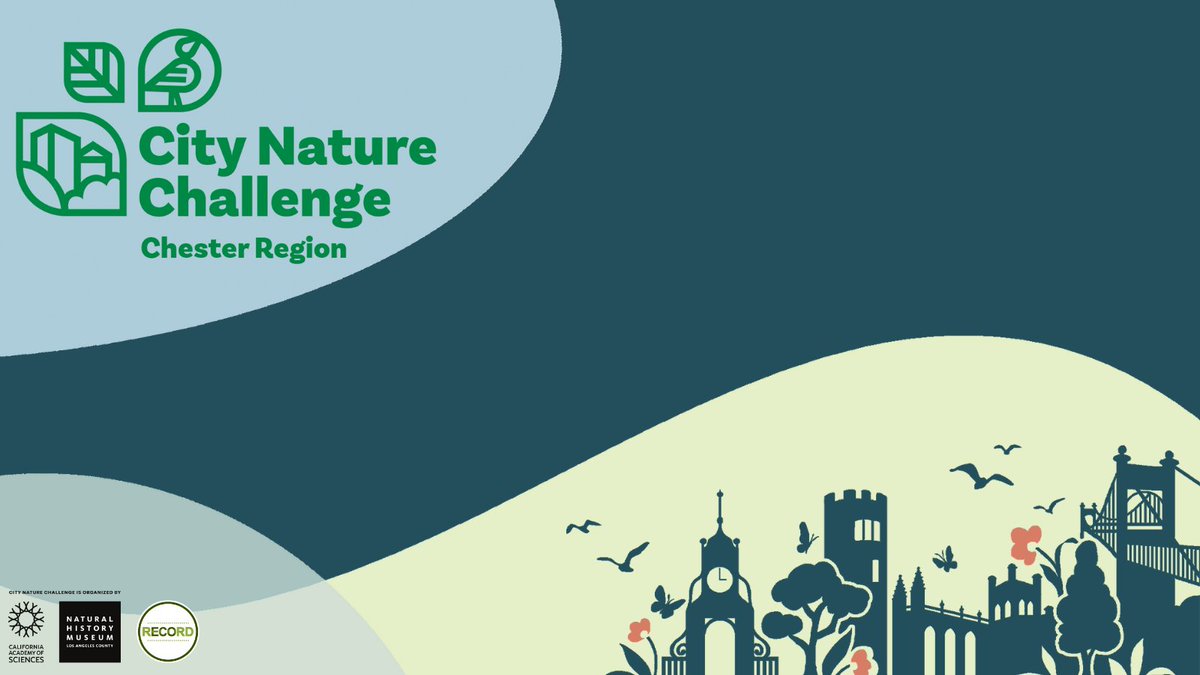 🌱 The City Nature Challenge is a global event where people in over 500 city regions worldwide work together to record as much wildlife as possible.

Get involved in the local challenge ➡️ record-lrc.co.uk/Get_involved/e…

#WeAreCWVA #NeverMoreNeeded