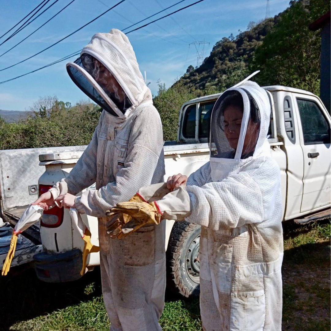 LinkiaFP tweet media