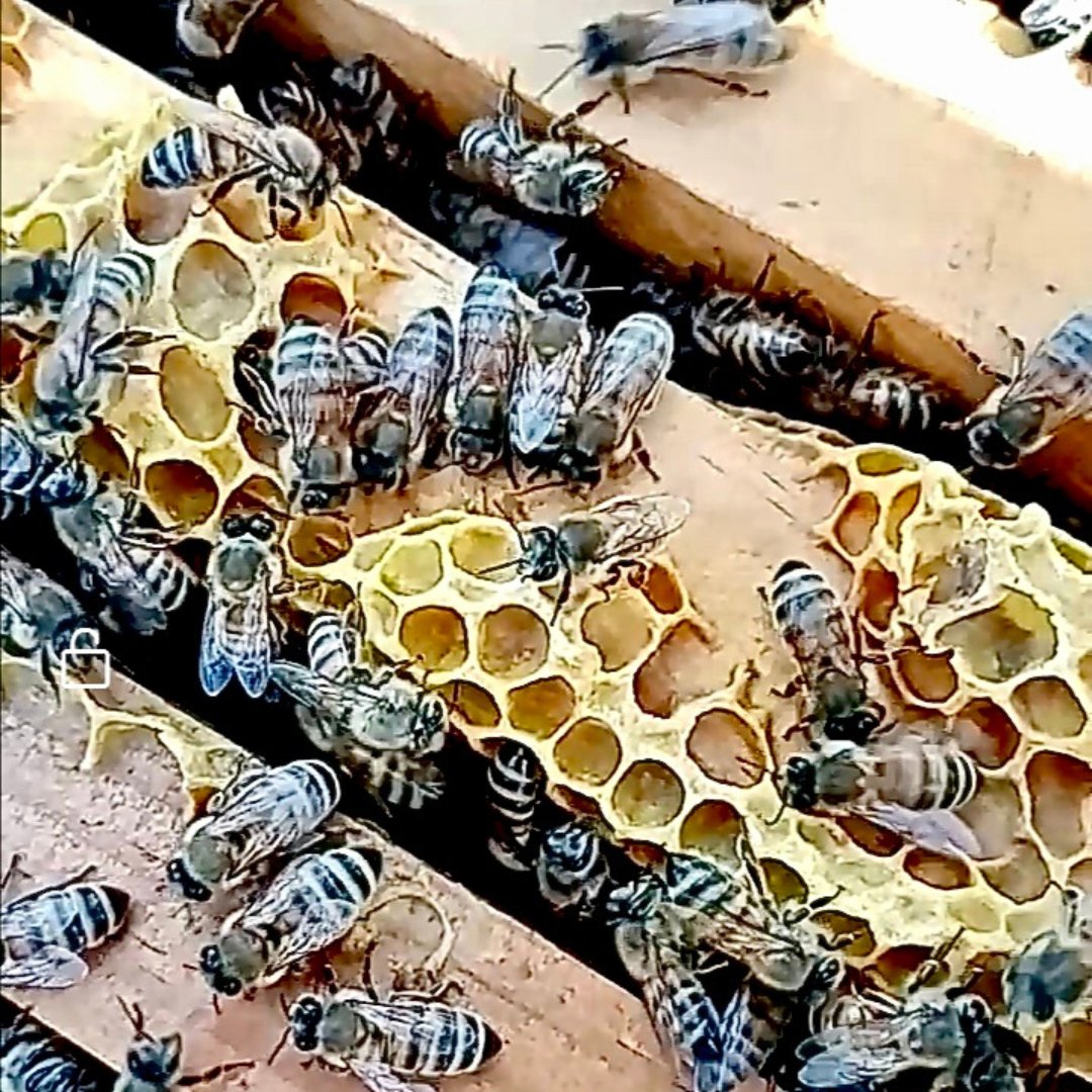 LinkiaFP tweet media