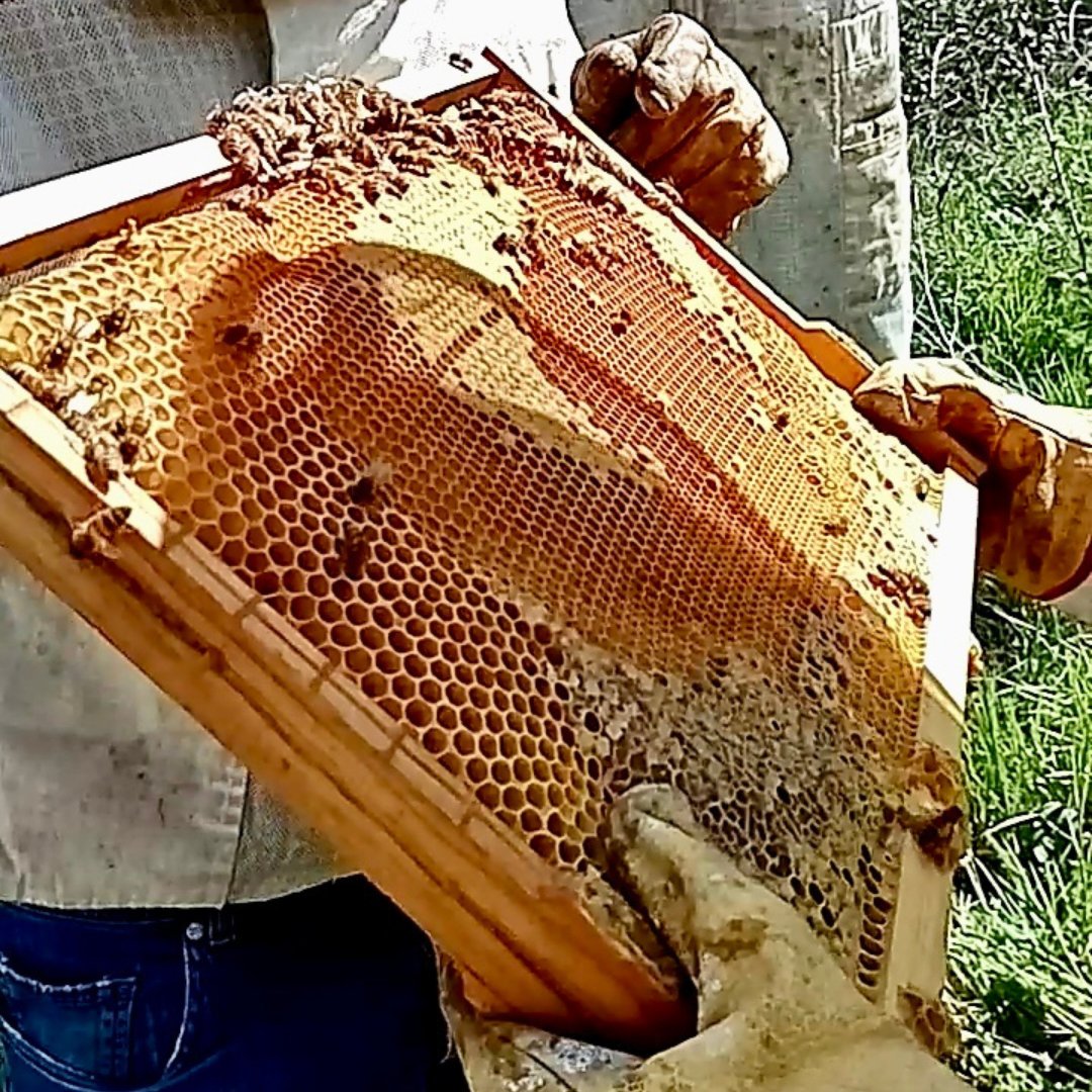 LinkiaFP tweet media