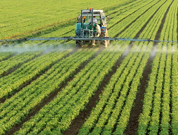 If you hate pesticides and herbicides, here are some things that can help undo some of the damage that they might have led to:  
-Zinc-rich foods/zinc carnosine 
-Glycine/grass-fed beef gelatin
-Colostrum 
-Ginkgo biloba 
-Milk thistle 
-Magnesium 
-Vit K-rich foods 
-B12-rich