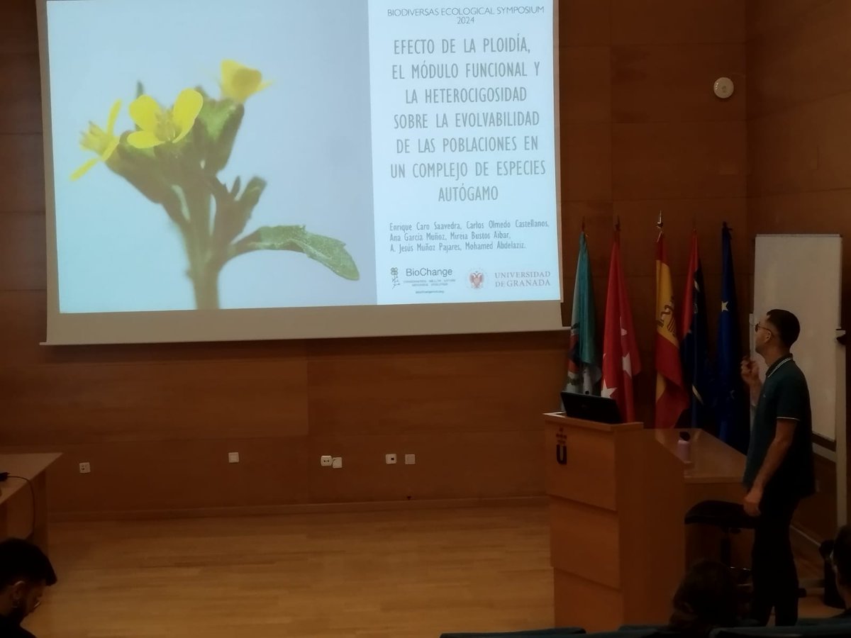 SymposiumBES's tweet photo. Enrique Caro de la Universidad de Granada, nos explica su Trabajo de Fin de Máster titulado "Efecto de la ploidia, el módulo funcional, la heterocigosidad sobre la evolvabilidad de las poblaciones en un complejo de especies autógamo" https://t.co/p0mZOfXa7o