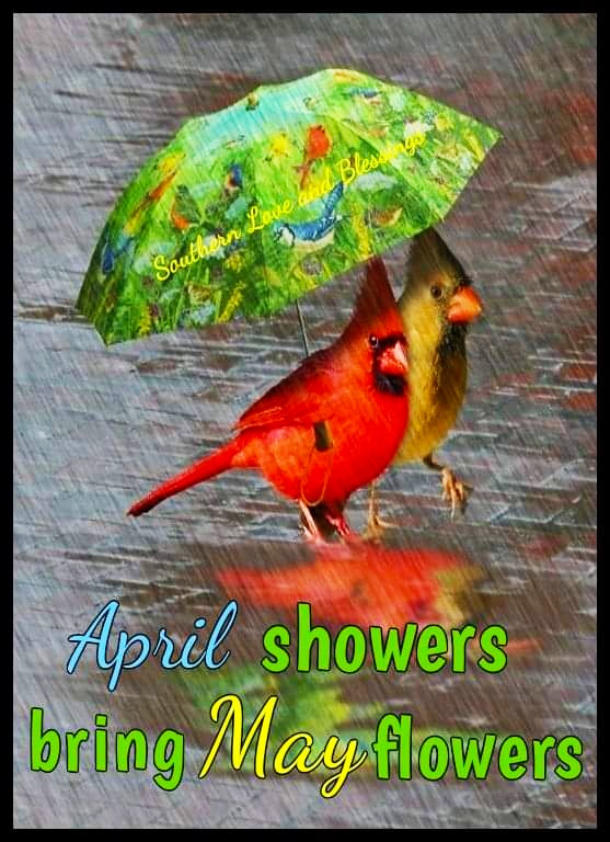 💚Le piogge di aprile portano i fiori di maggio 💚