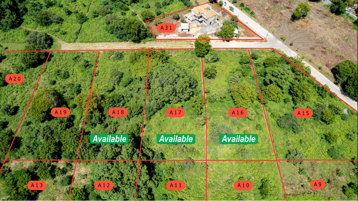 TheShambaLife's tweet photo. 🚨 Price Increase Alert! As of May 1st, the cost for our 1/4 and 1/2 acre plots will rise. Secure our current rates by reserving your plot before May 1st. Don't miss this chance! Prices in the Vipingo area are climbing rapidly. Book now! https://t.co/8vNOFasIip