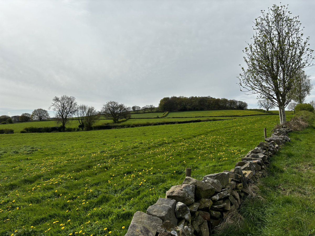 Jo Smith tweet media