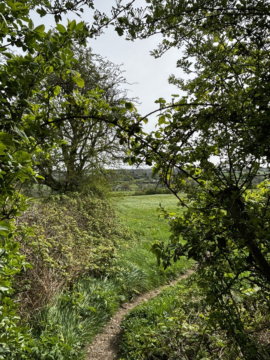 Jo Smith tweet media