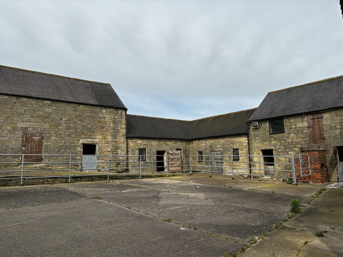 Jo Smith tweet media