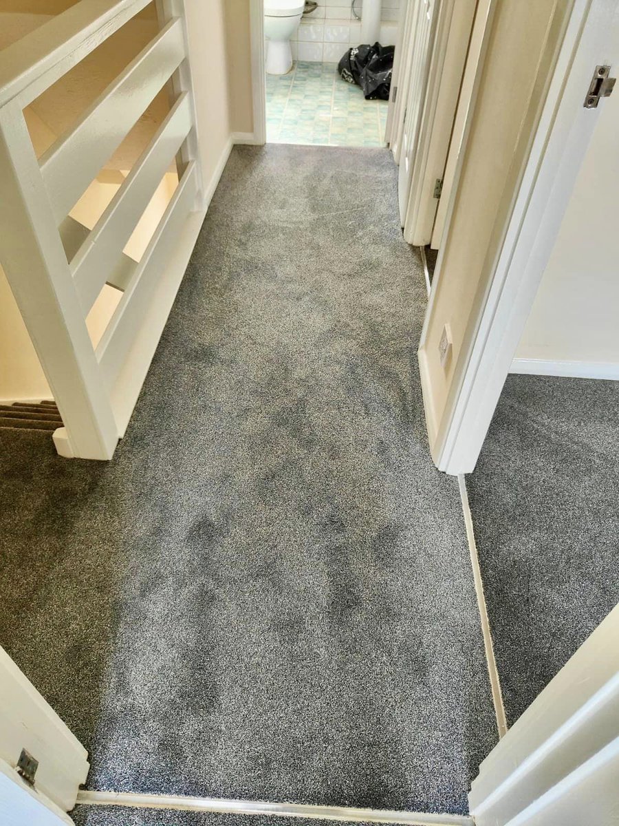 FurlongFlooring's tweet photo. Part of our signature Beyond Wool Collection - take a look at how stunning this installation is of our Elegance carpet by @carpettrader
We love seeing our flooring transforming homes 😍
#EleganceCarpet #BeyondWoolCollection #CarpetTrader https://t.co/16PRqdaOPj