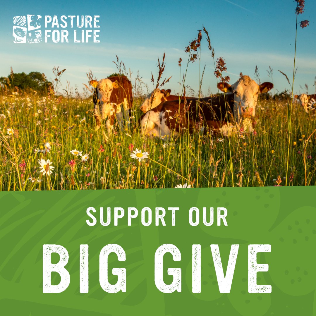 🌿 Join us in championing sustainable farming 🌱 We're fundraising to develop online tools empowering farmers moving towards sustainable pasture-based systems. The campaign is live to April 25th - donate via @BigGive to have your donation doubled! ⏰👇 donate.biggive.org/campaign/a0569…